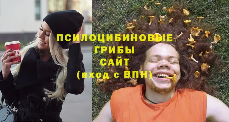 omg как войти  Кисловодск  нарко площадка формула  Галлюциногенные грибы Cubensis 